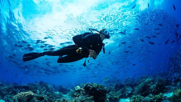 6 Rekomendasi Aktivitas Wisata Asik Tahun Ini