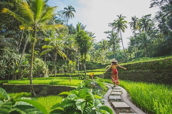 5 Destinasi Wisata Budaya Populer di Indonesia Wajib Dikunjungi