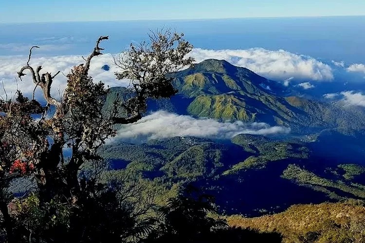 Rekomendasi Wisata Tawangmangu buat Liburan Akhir Tahun