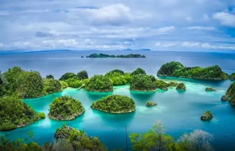 Taman Laut Terindah Dunia yang ada di Indonesia