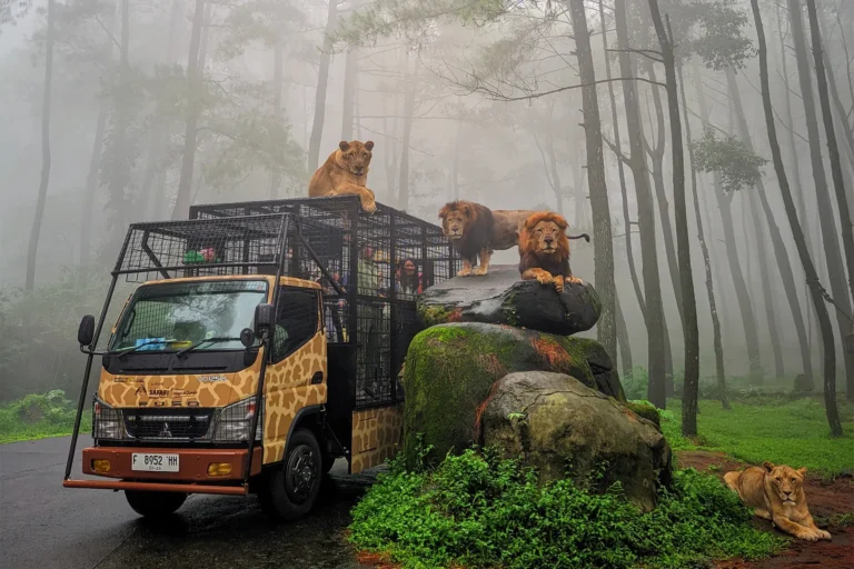 6 Tempat Wisata Trawas Hits yang Wajib Dikunjungi