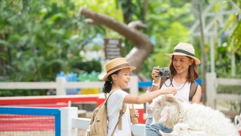 Contoh 5 Cerita Liburan Sekolah Seru Berbagai Tema