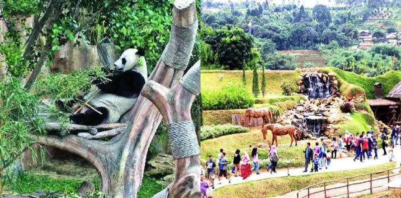 Ciamis 
